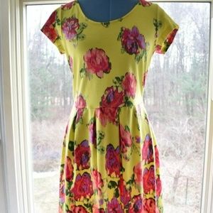 Isaac Mizrahi Watteau Rose Printed Dress XS NWT
